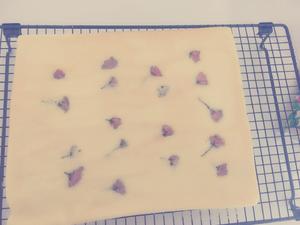 樱花蛋糕卷🌸的做法 步骤10
