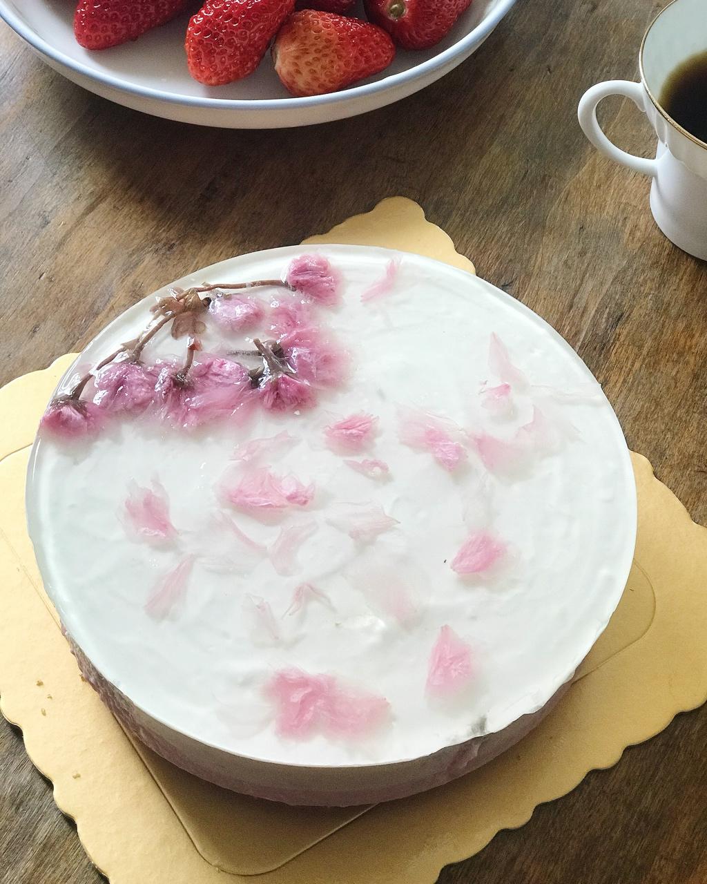 panda李一可做的樱花冻酸奶芝士蛋糕镜面樱花的摆放