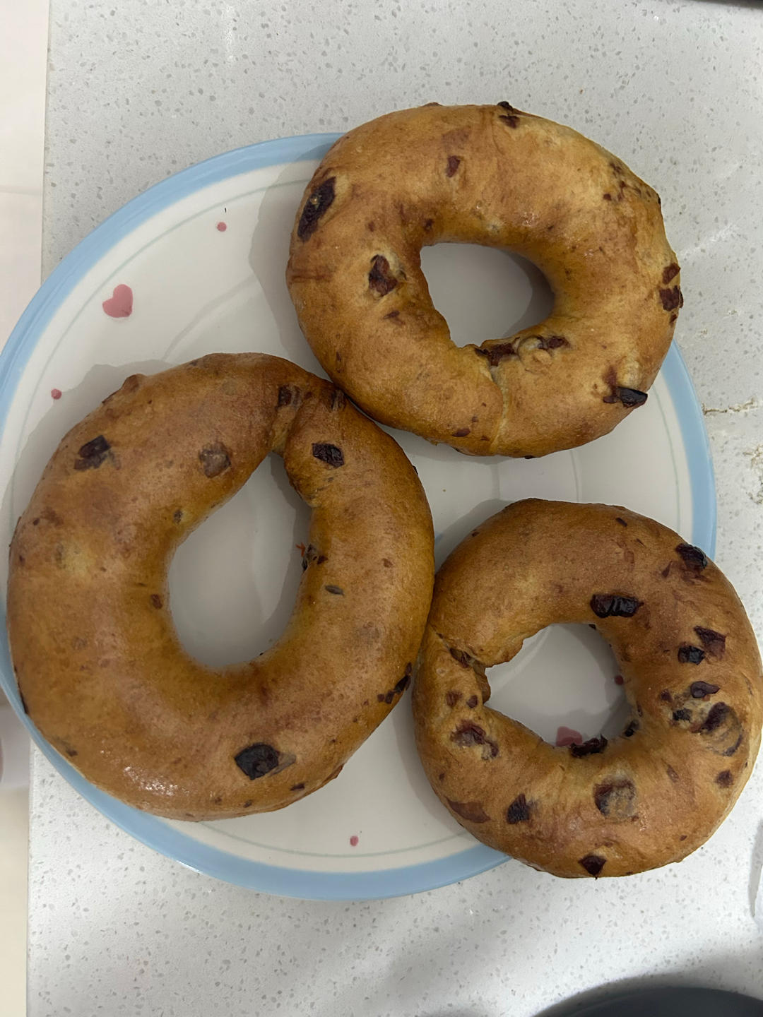 来吃圈圈吧！——全麦蔓越莓贝果