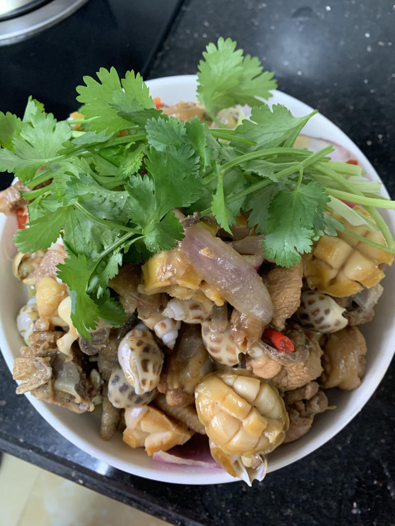 鲍鱼花胶鸡煲