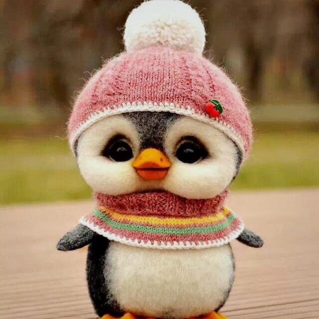 来自左岸的猫媚儿