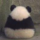 瑨瑨大宝贝无敌