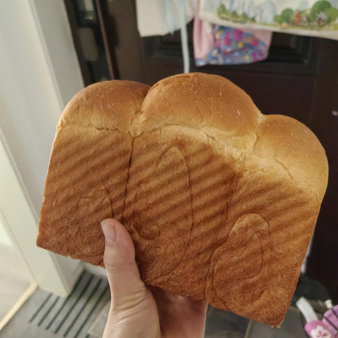 比棉花还柔软的中种北海道吐司