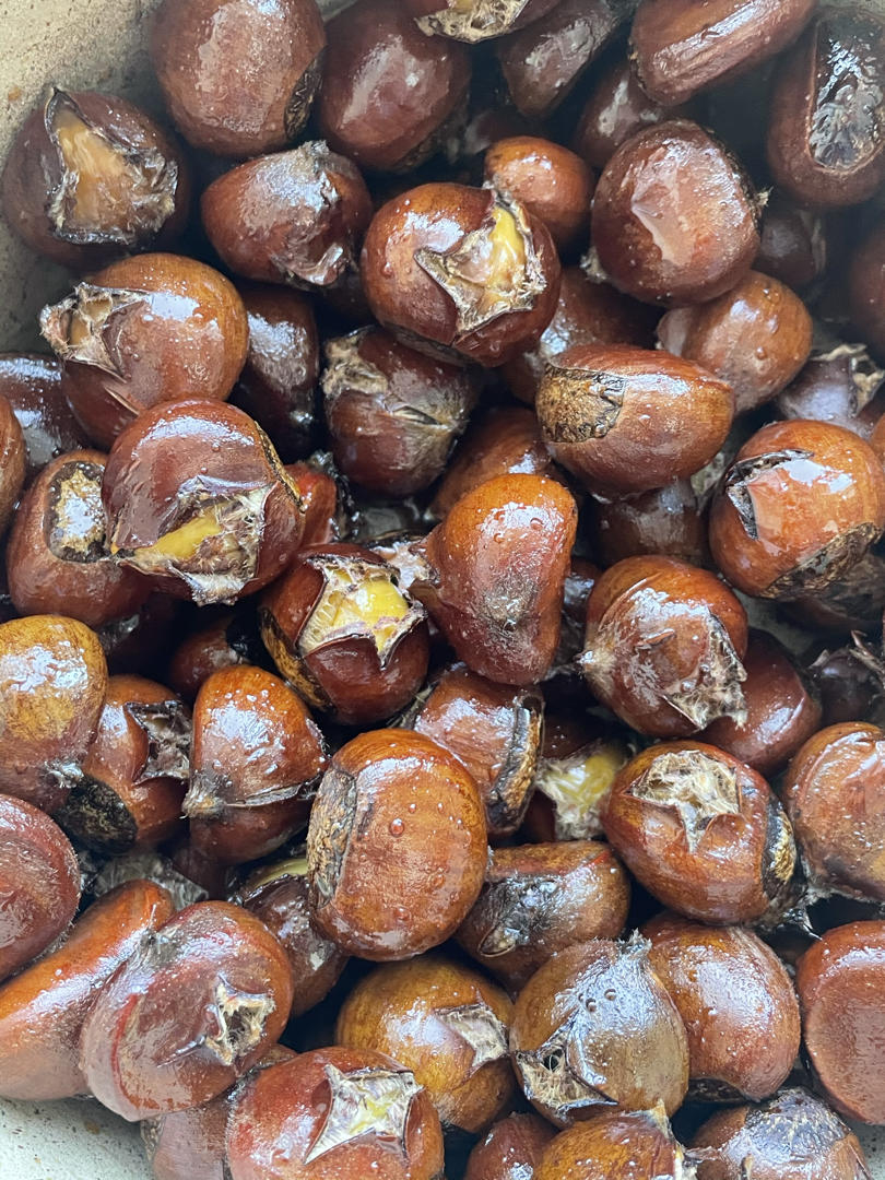 ‼️香甜软糯‼️轻松好剥㊙️烤箱版糖炒栗子