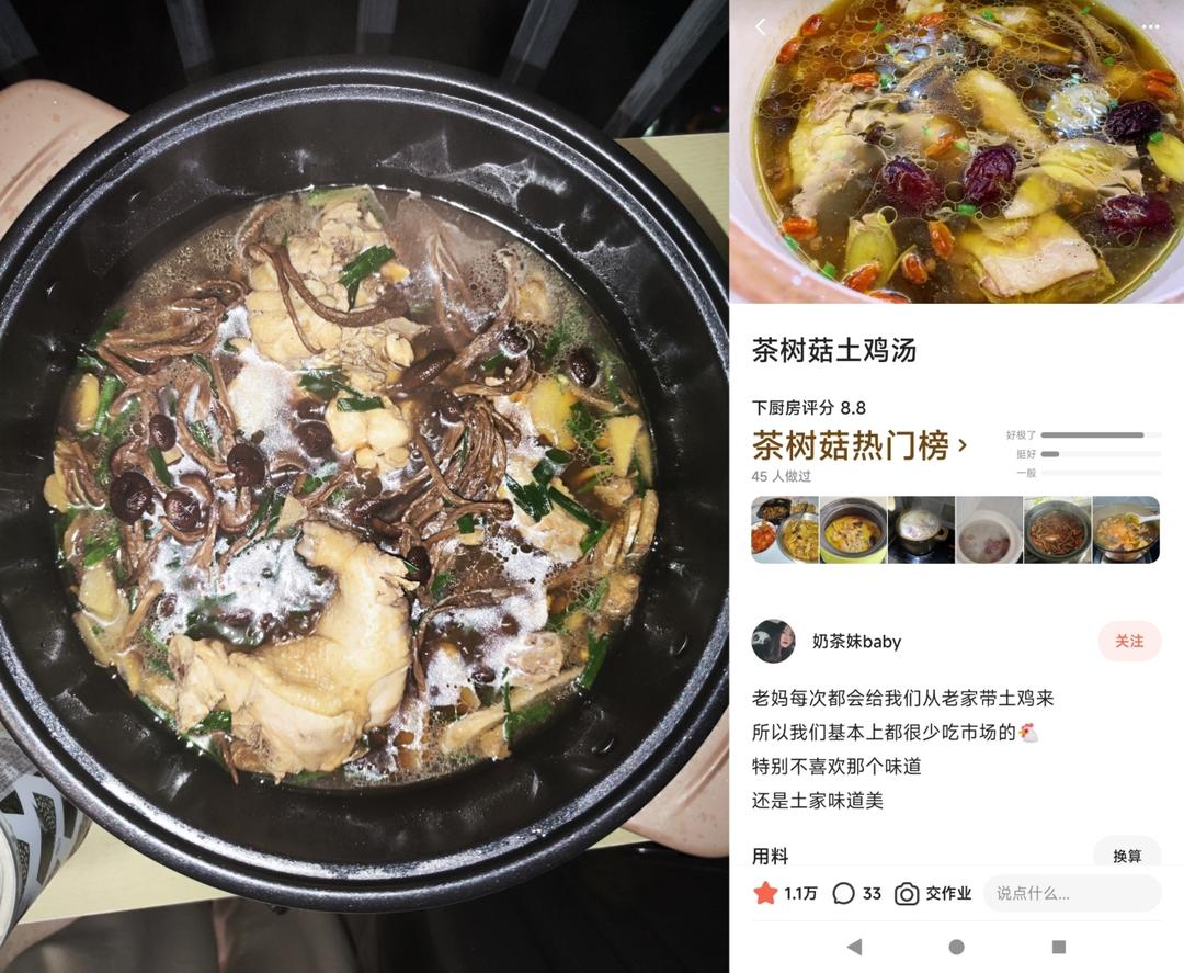 茶树菇土鸡汤