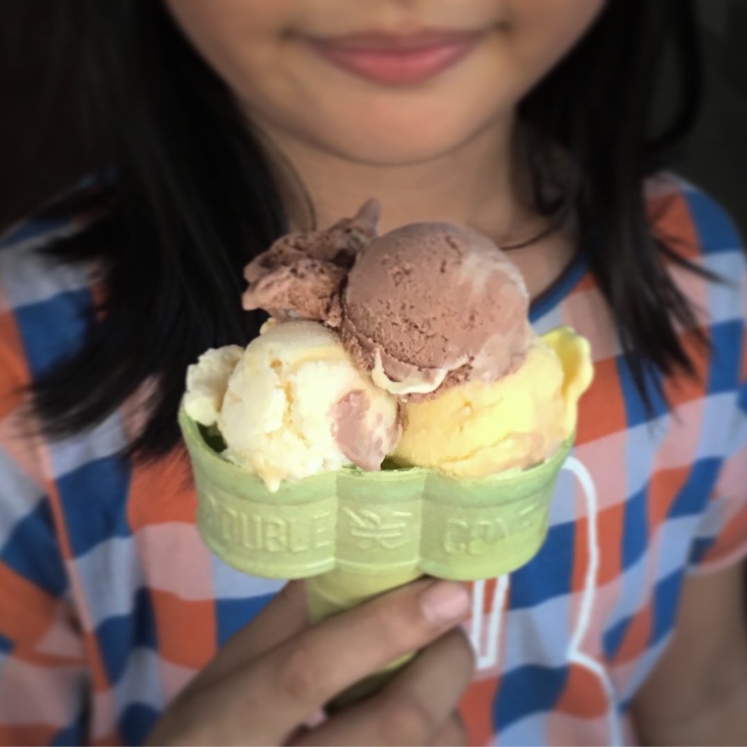 2017 从春约到冬