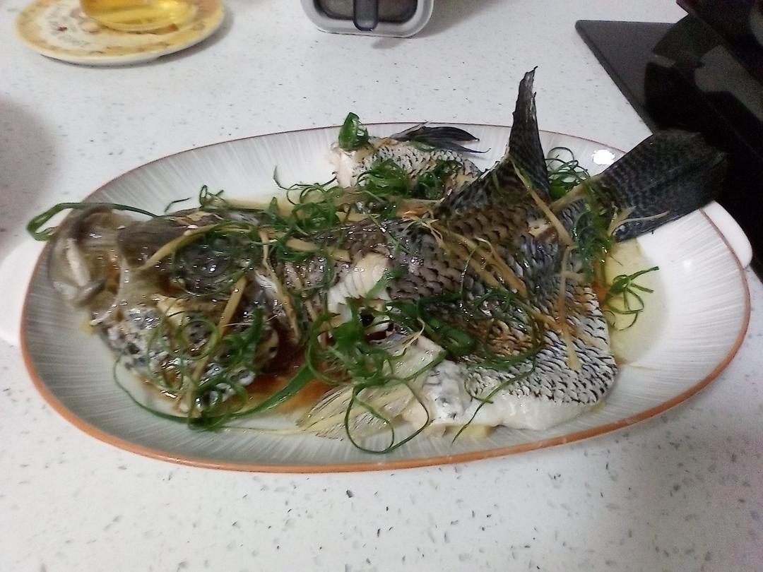 清蒸花斑鱼（多宝鱼、海鲈鱼等）超嫩滑鲜美，零失败，厨房小白秒变大厨。