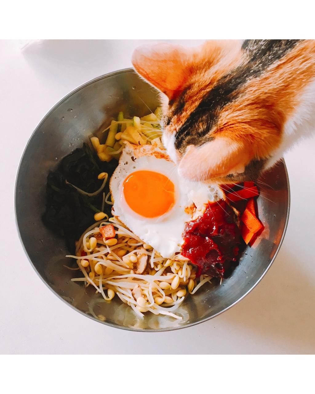 超美味的韩国拌饭