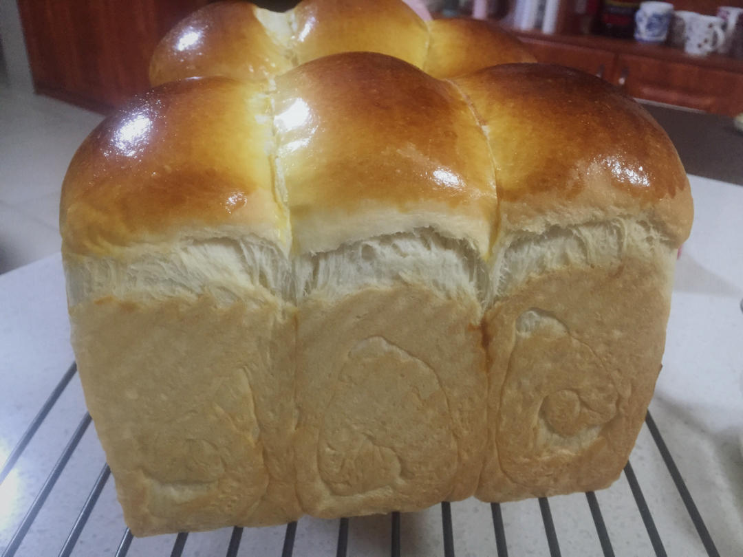 【北海道吐司】体验经典-妃娟100%中种，冷藏冰种的美味