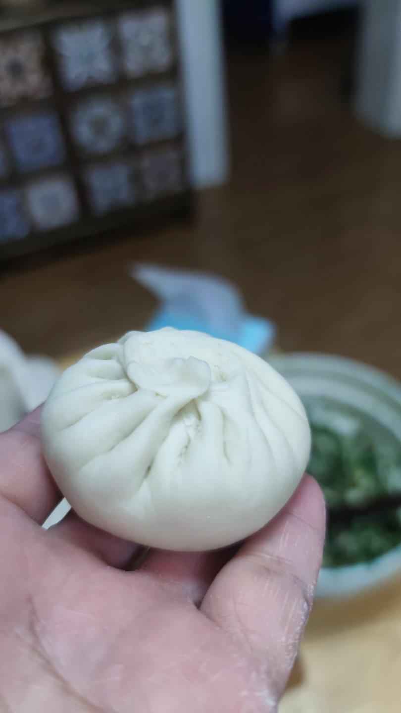 堂妈教你山菜鲜肉大包子