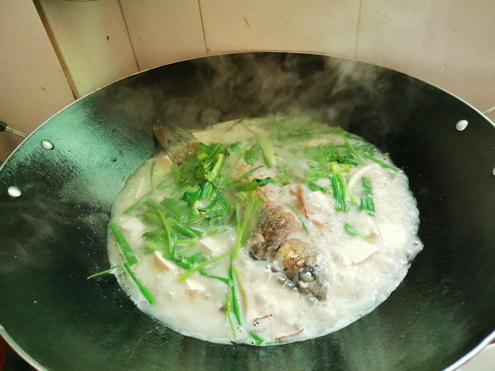 豆腐鲫鱼汤