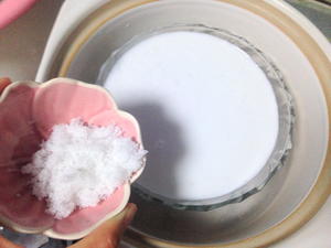 芒果椰皇奶冻的做法 步骤7