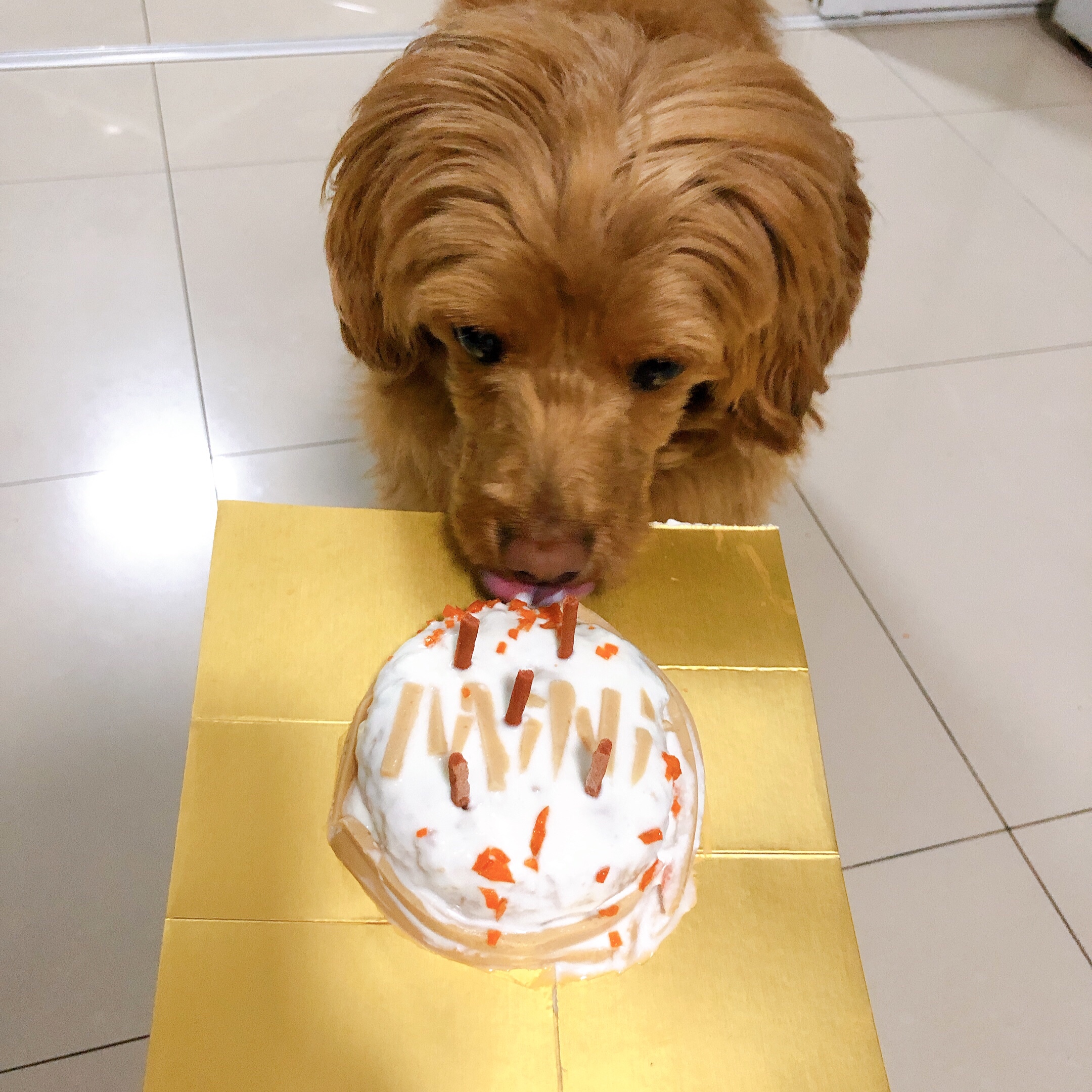狗狗蛋糕