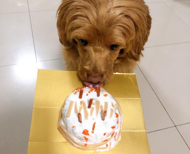 狗狗蛋糕