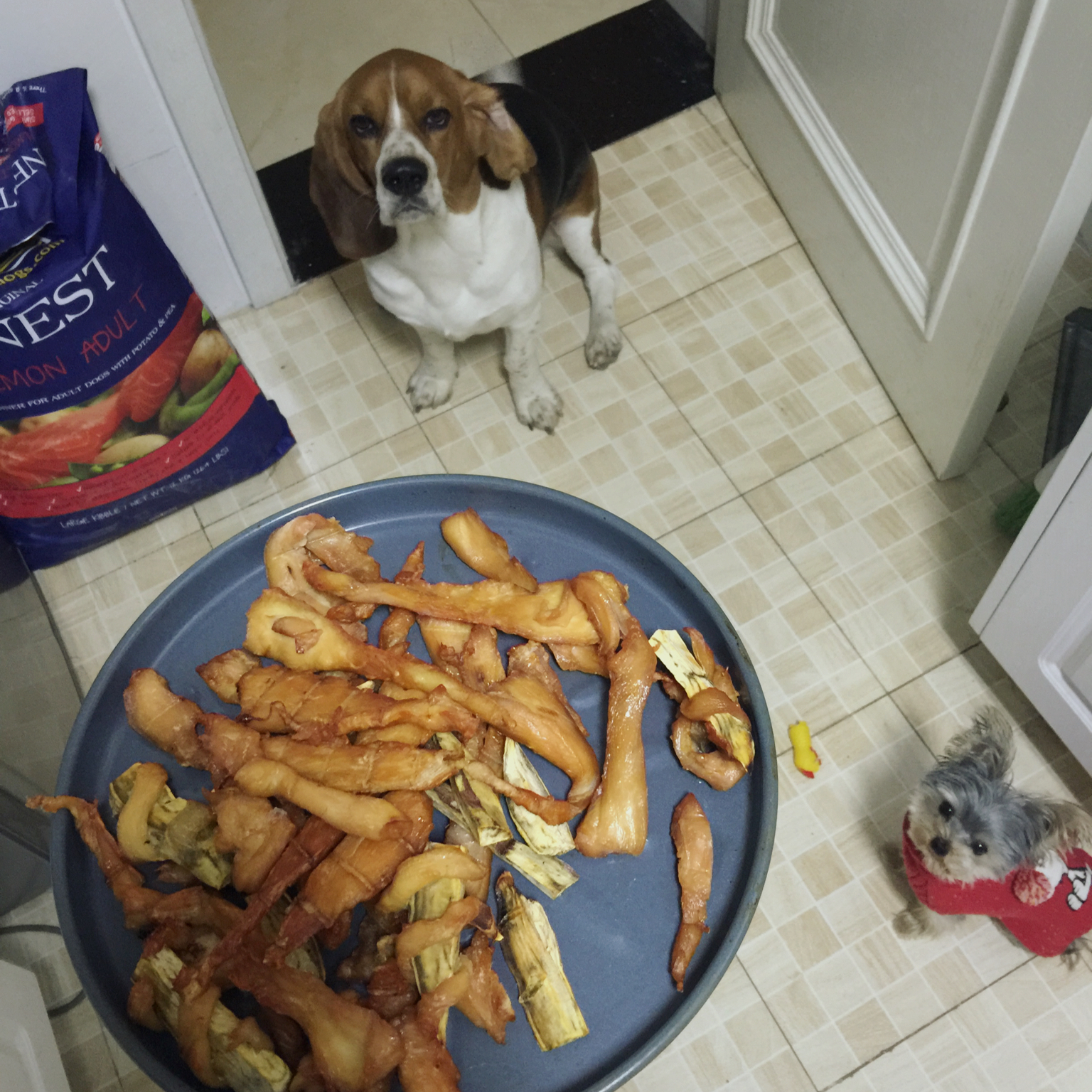 狗狗奖励零食——鸡肉干胡萝卜条