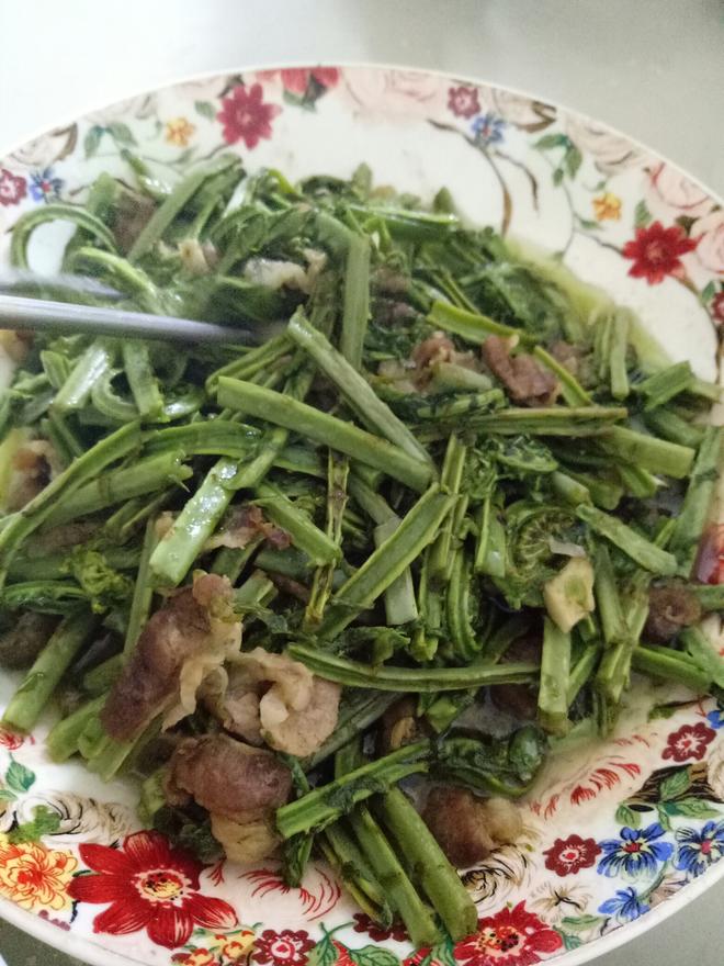 肉炒蕨菜的做法