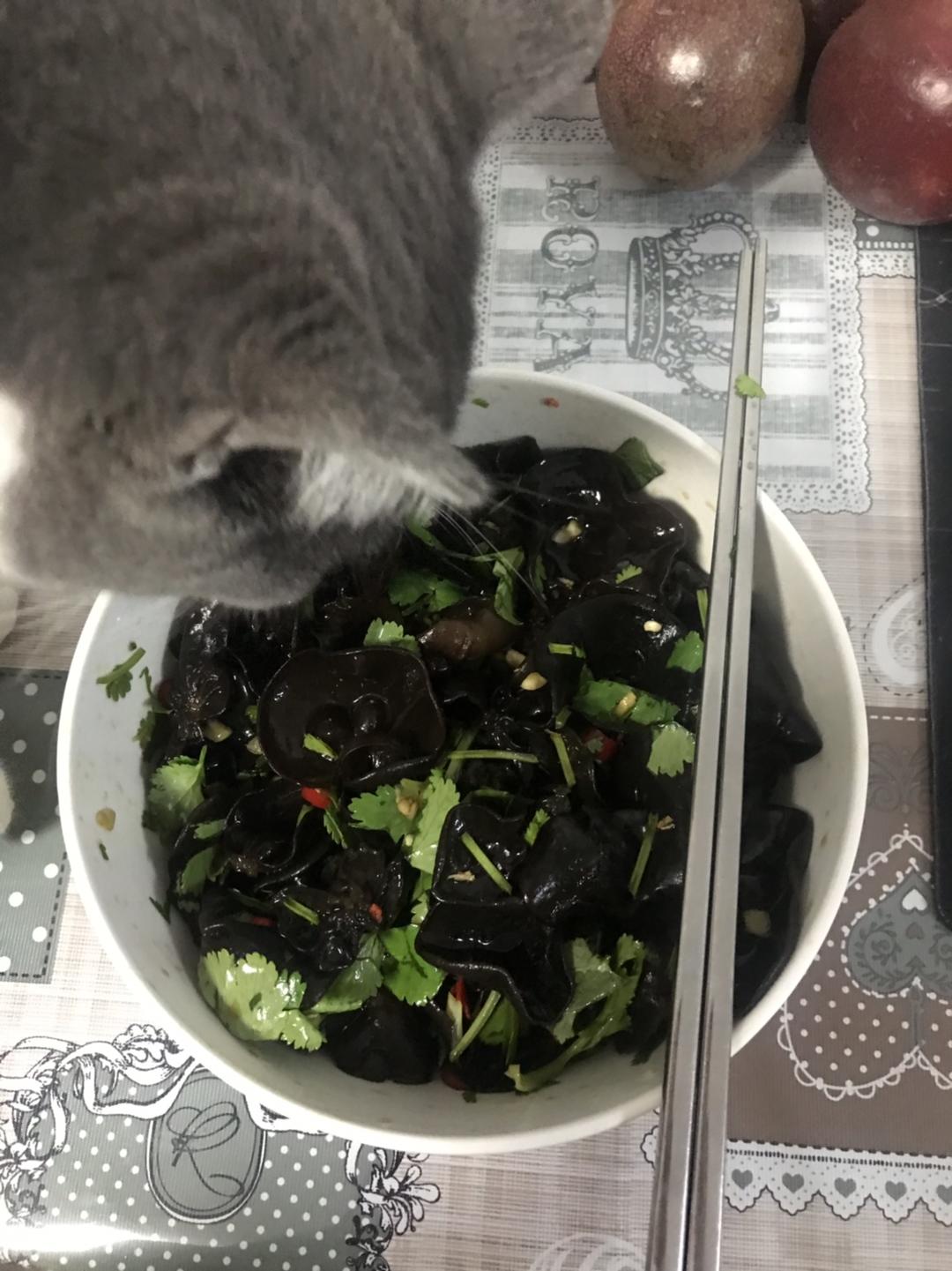 傻子都会做的凉拌木耳