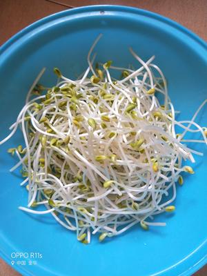 韭菜炒黄豆芽的做法 步骤1