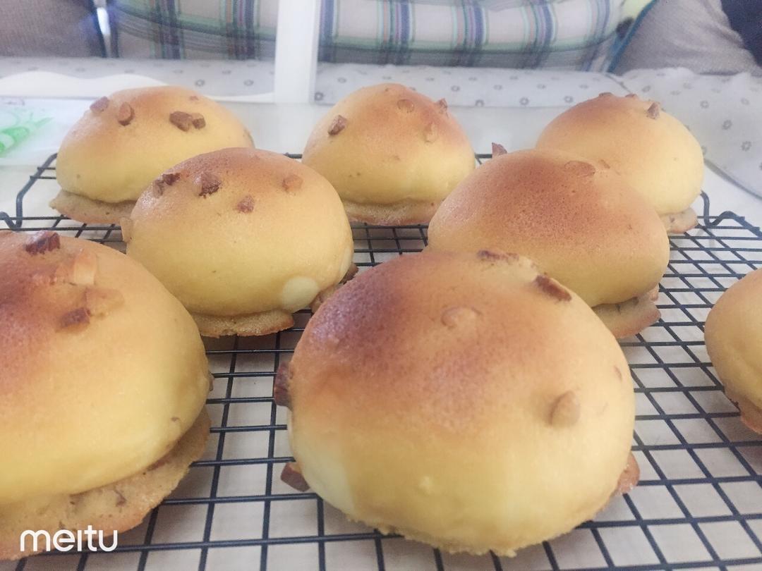 咖啡墨西哥面包