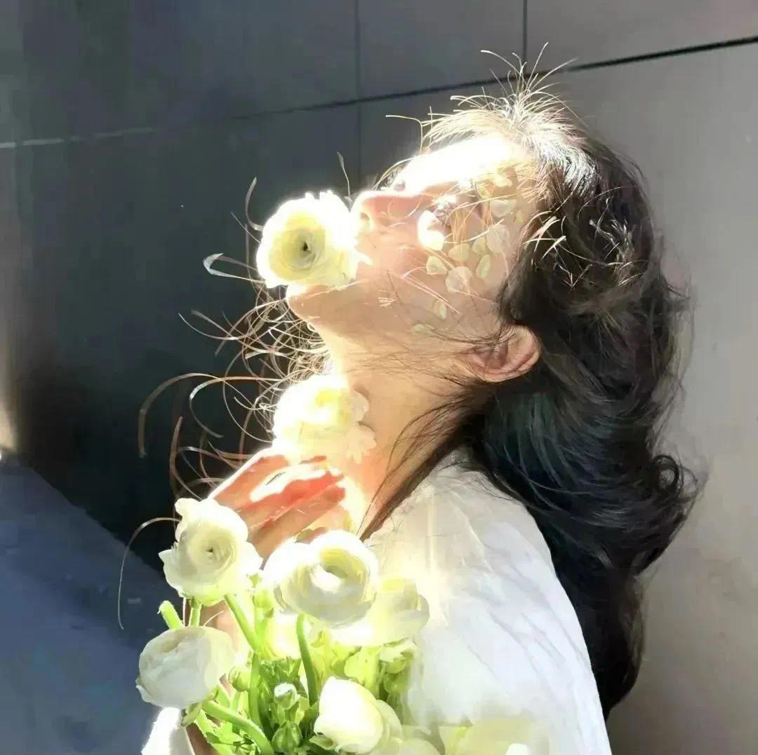 张望的芝士