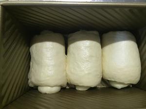 蓝带白吐司～冷藏发酵的做法 步骤8