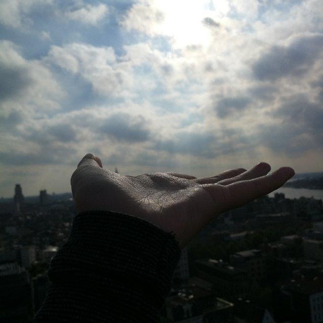 在荷兰奋斗的静静