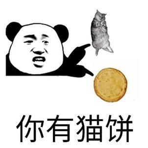快乐的小猫猫猫