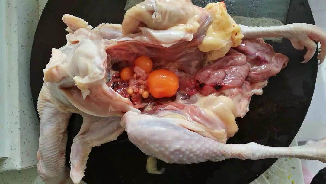 一鸡两吃☞人参鸡汤&手撕鸡的做法 步骤2