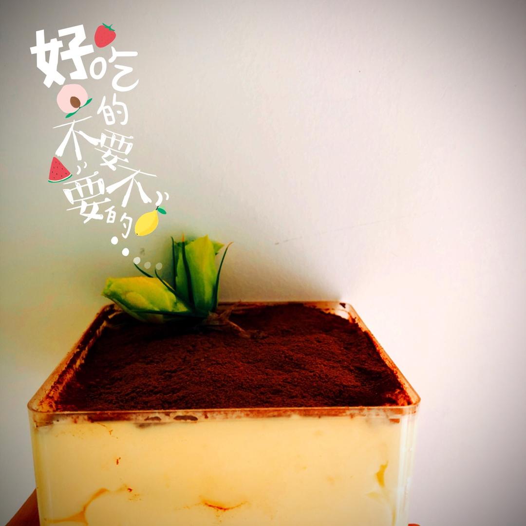 《Tinrry+》提拉米苏