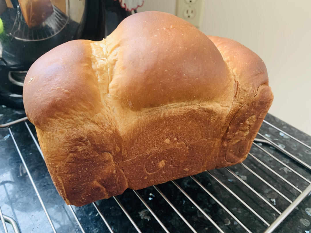 波兰种奶香吐司