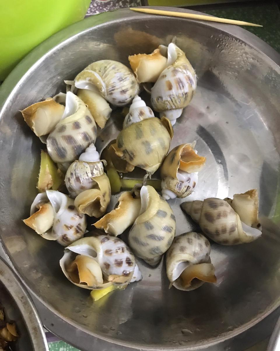白灼花螺