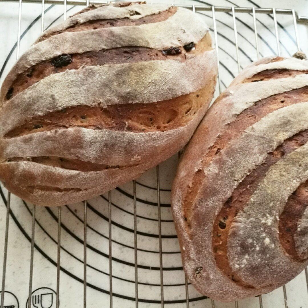 黑麦蔓越莓软欧包