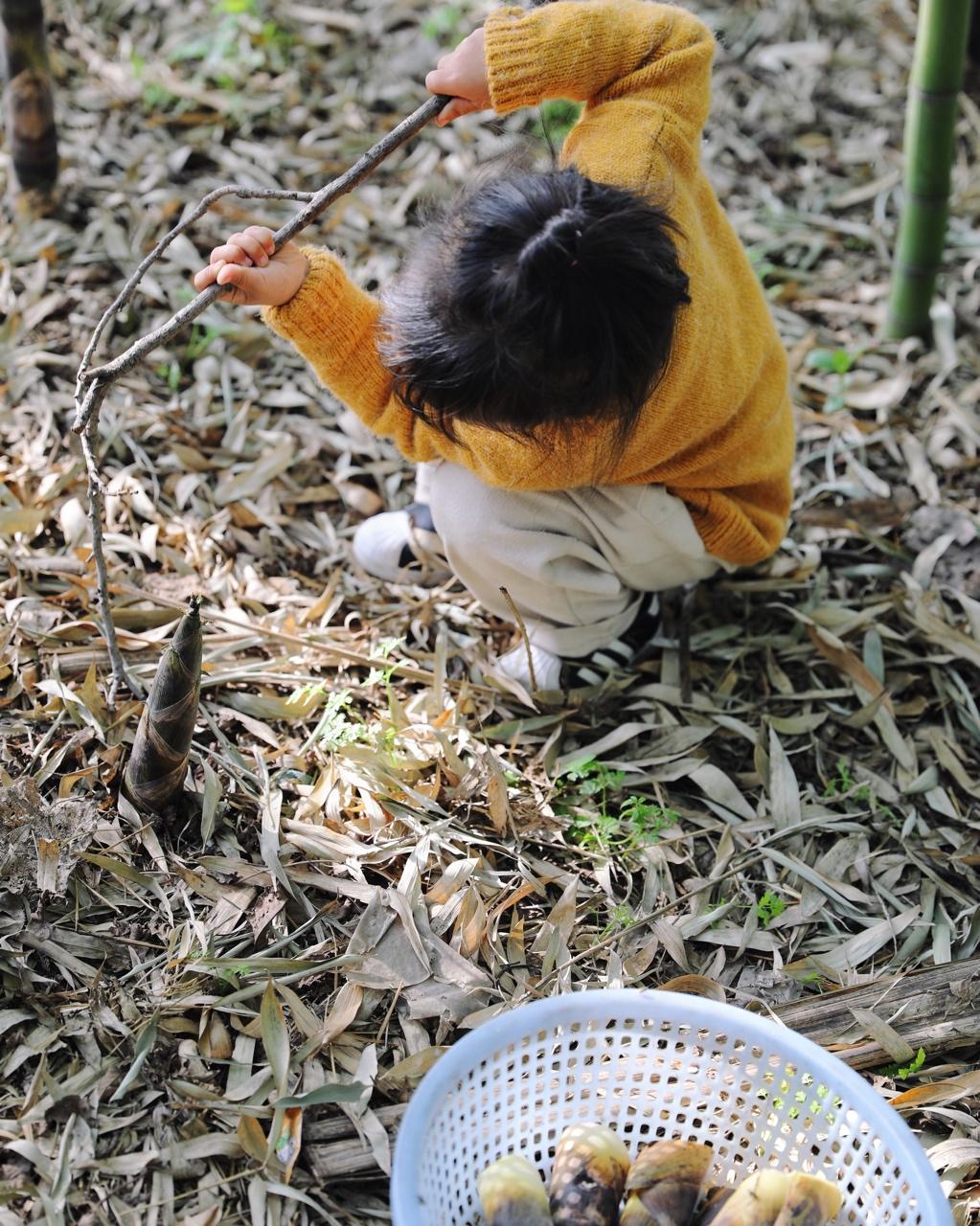 食光催人胖