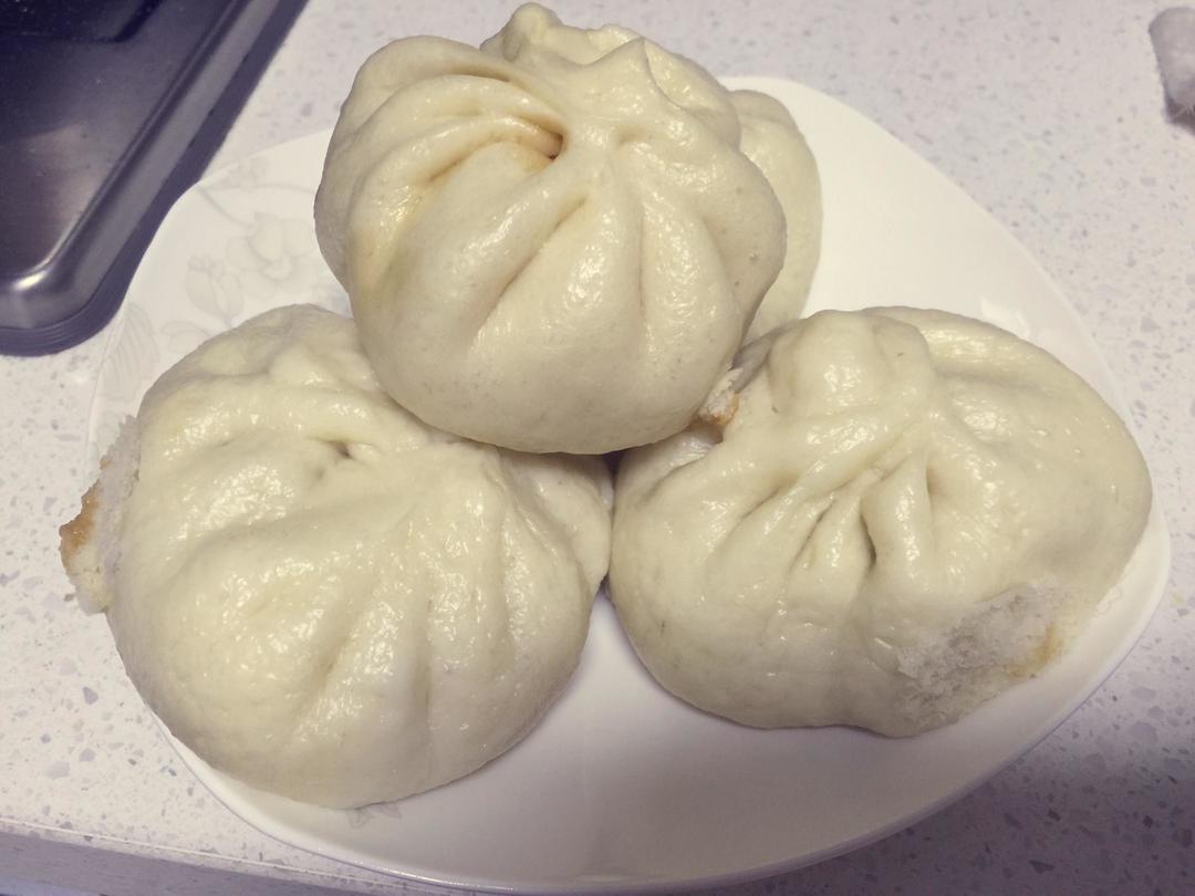 白白胖胖的鲜肉大包子（内附100%成功的发面方法）猪肉大葱馅的最好吃～