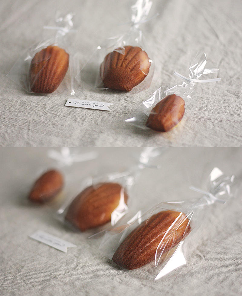 基础玛德琳