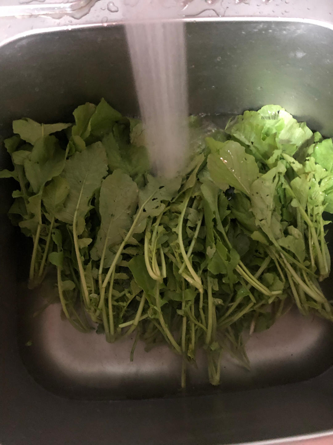 小萝卜苗腌菜