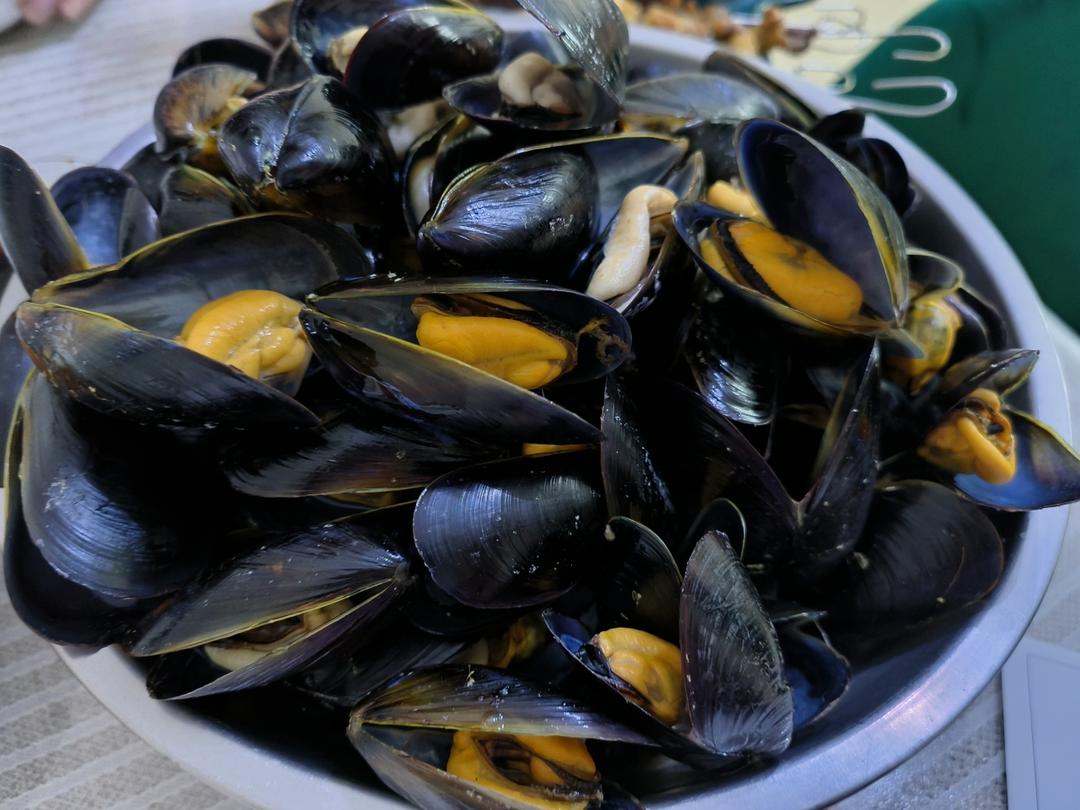 清煮海虹（青口）--原汁原味海虹最简单吃法