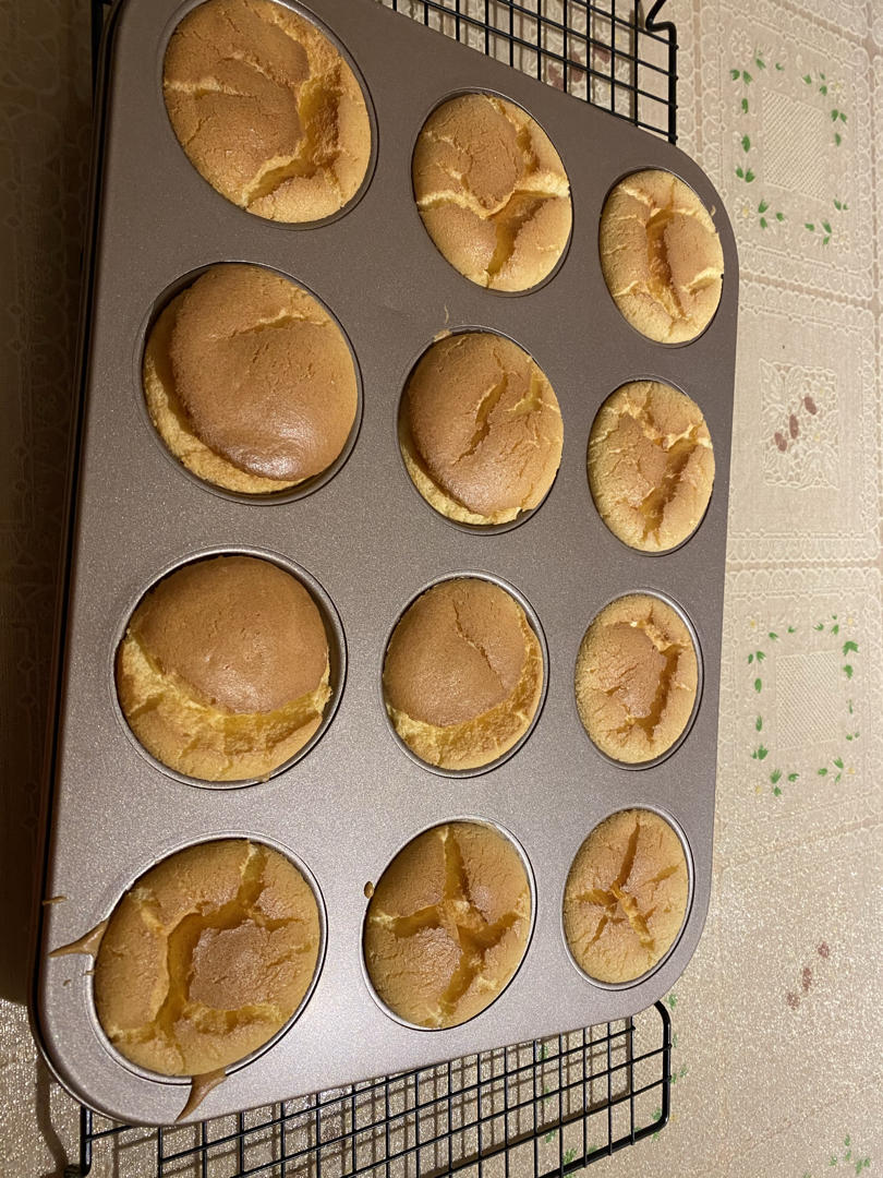 北海道（超级简单小白也行）