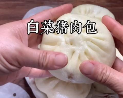 白菜猪肉包