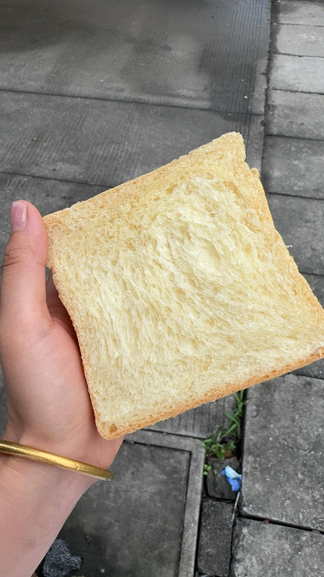 夺命软吐司(๑´ڡ`๑)超软拉丝极速方便的一次发酵吐司