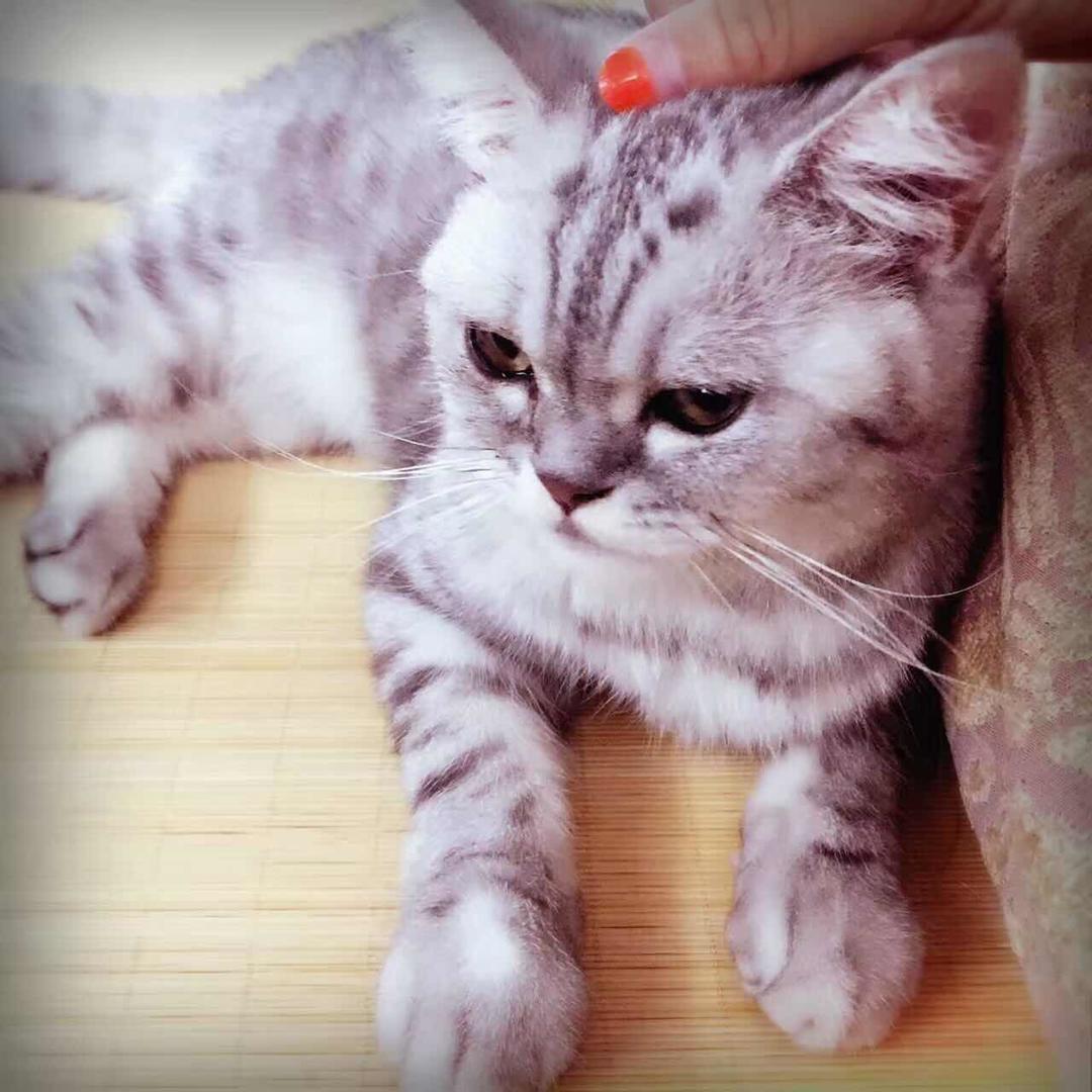 �Paulala浦拉拉�