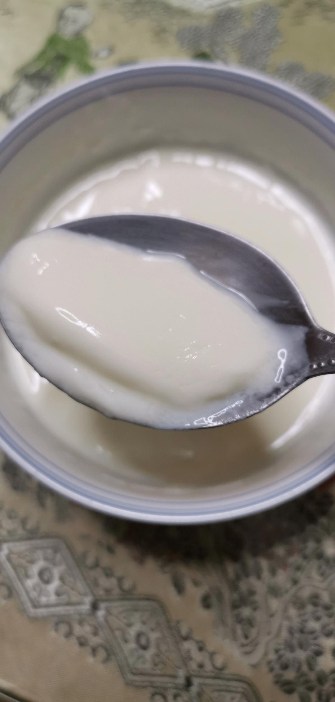 姜撞奶（传统制法，附失败解决方案）