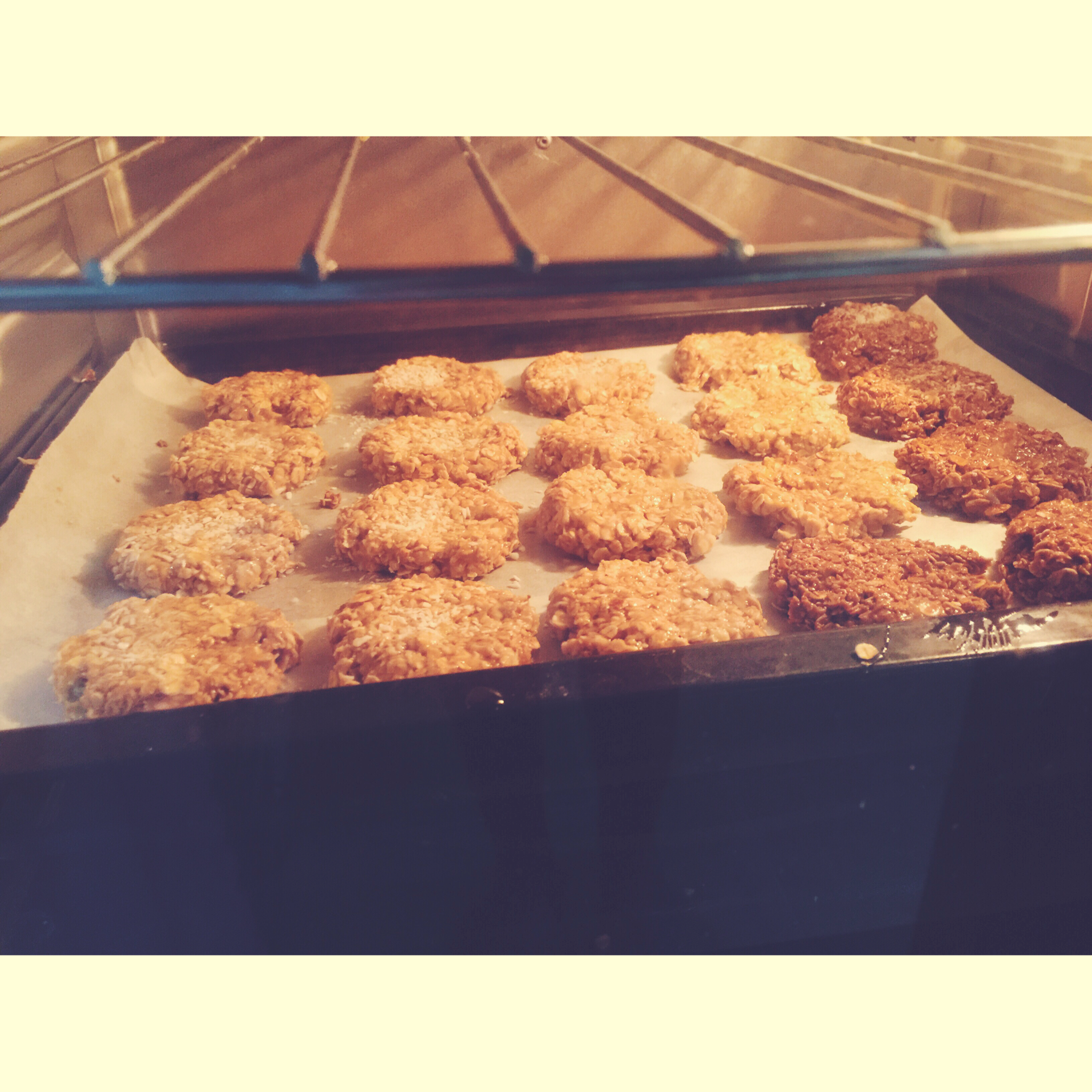 燕麦饼干