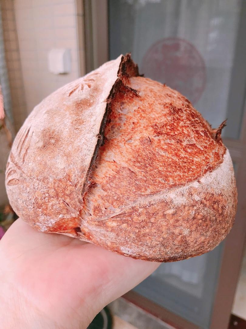 欧包切面组织气孔