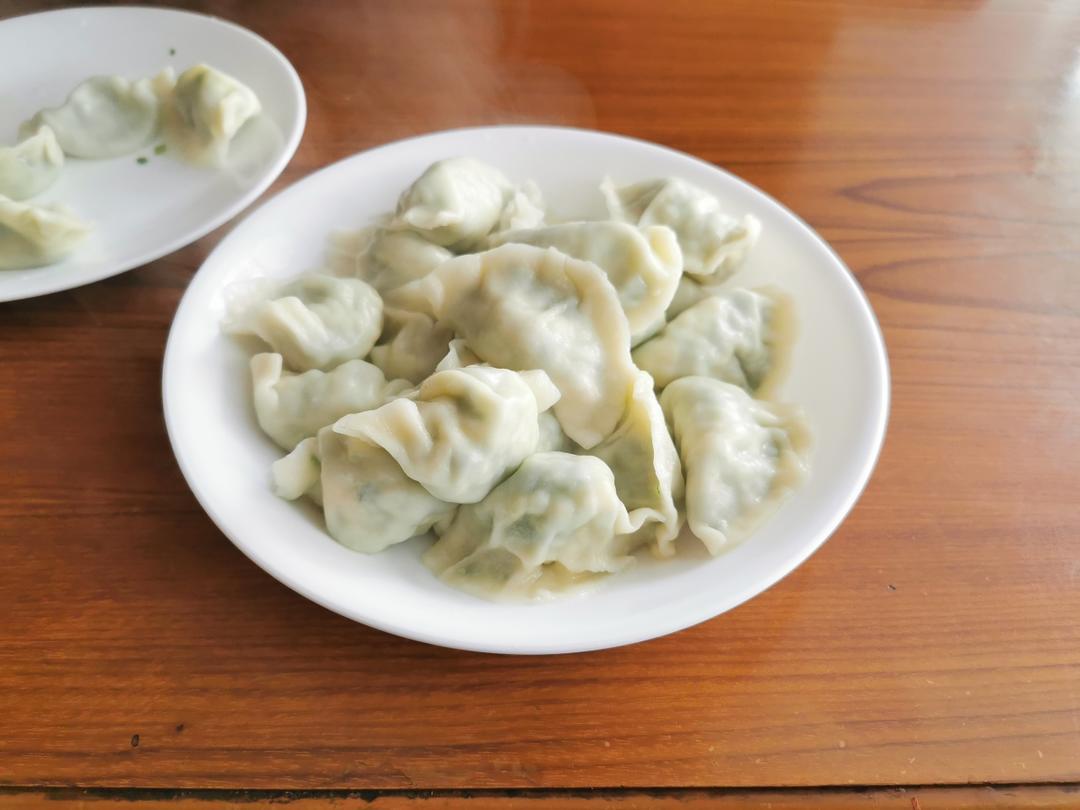 经典的韭菜鸡蛋馅儿饺子 怎么吃都不会腻