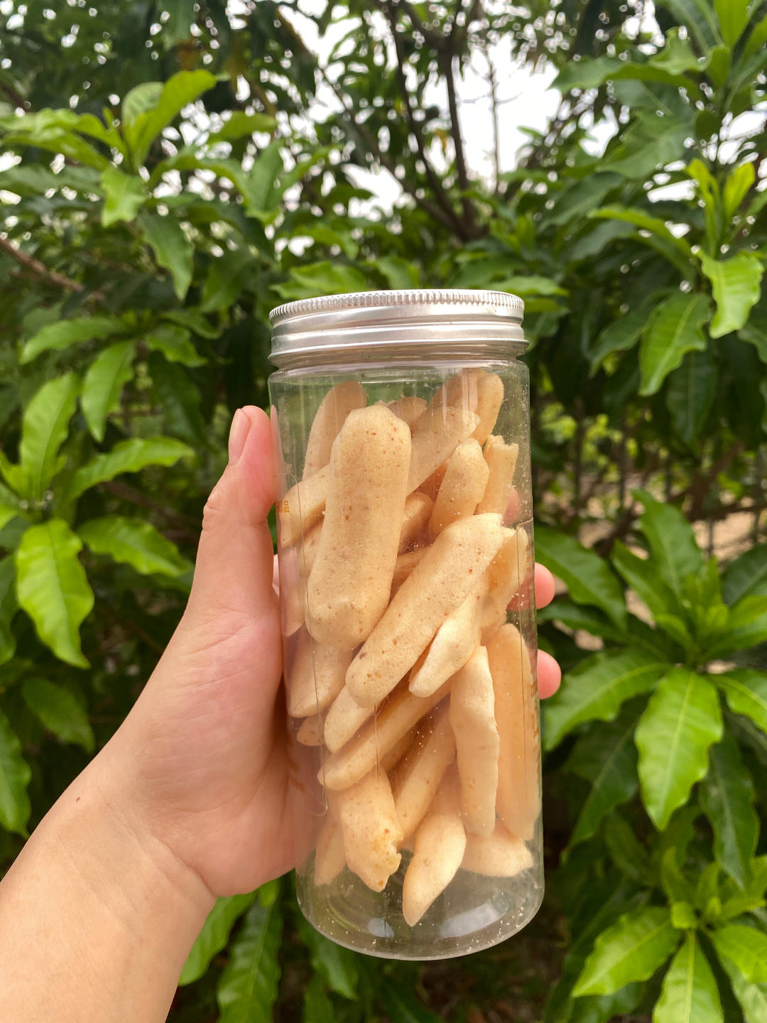 婴儿辅食-无糖无盐入口即化的大米饼