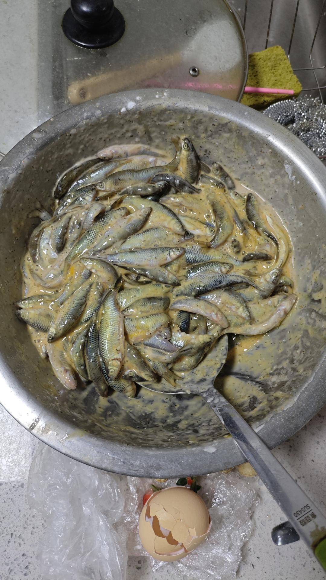 油炸野生小鱼