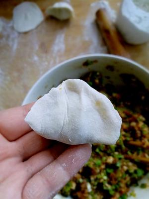 豆角鲜肉饺子的做法 步骤11