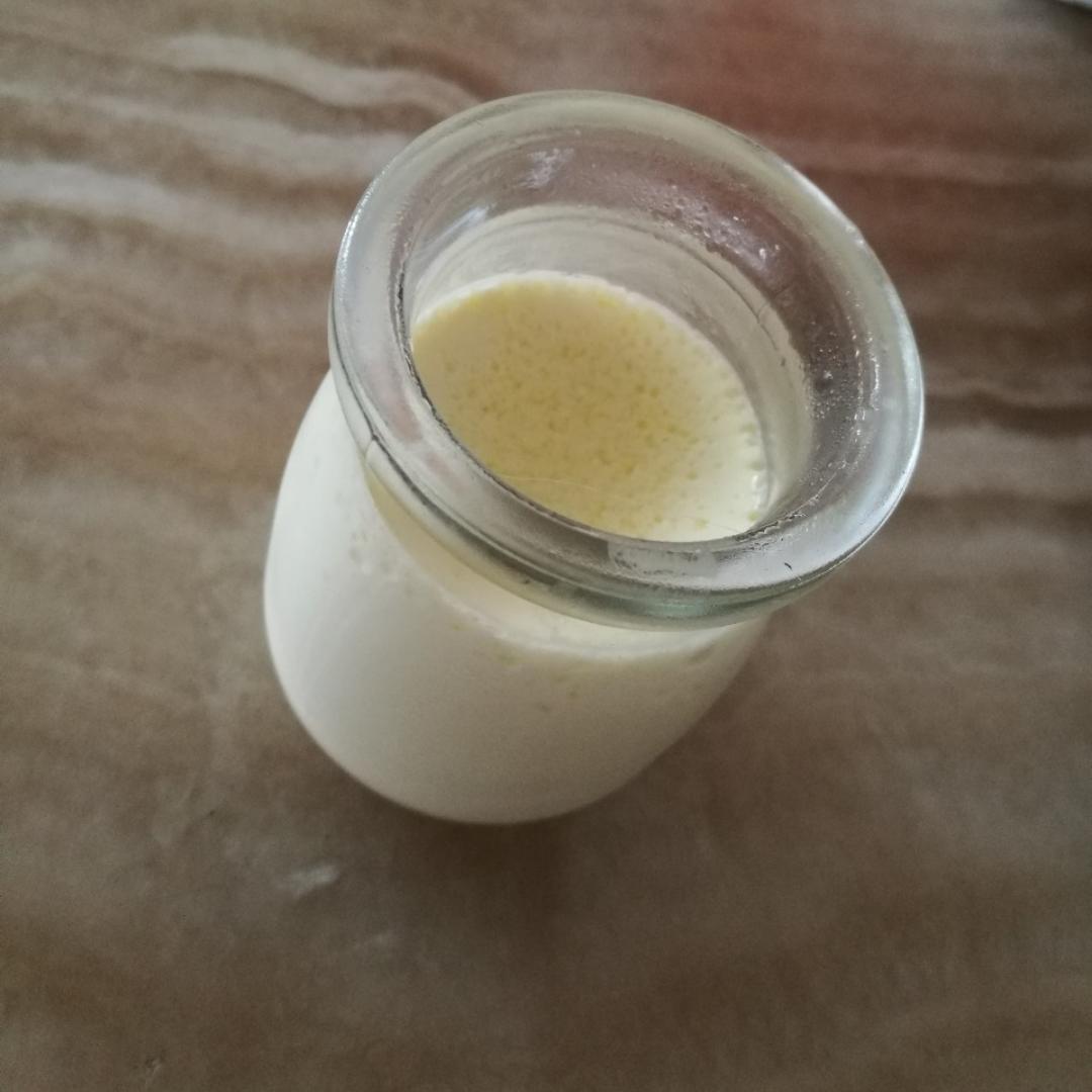 经典奶酪布丁