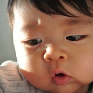 为七崽研究厨艺